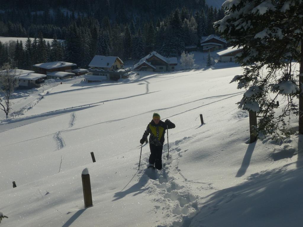 Ferienwohnung Bergblick Filzmoos Rom bilde