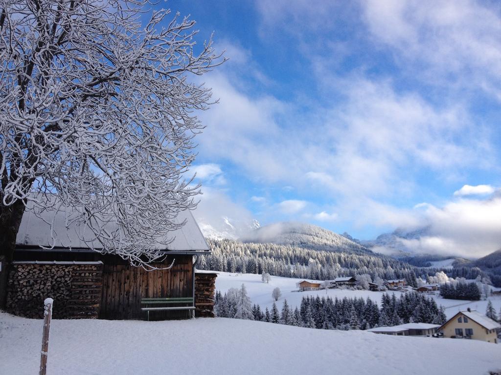 Ferienwohnung Bergblick Filzmoos Rom bilde