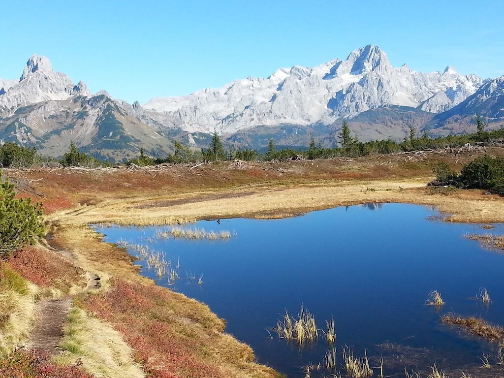 Ferienwohnung Bergblick Filzmoos Rom bilde