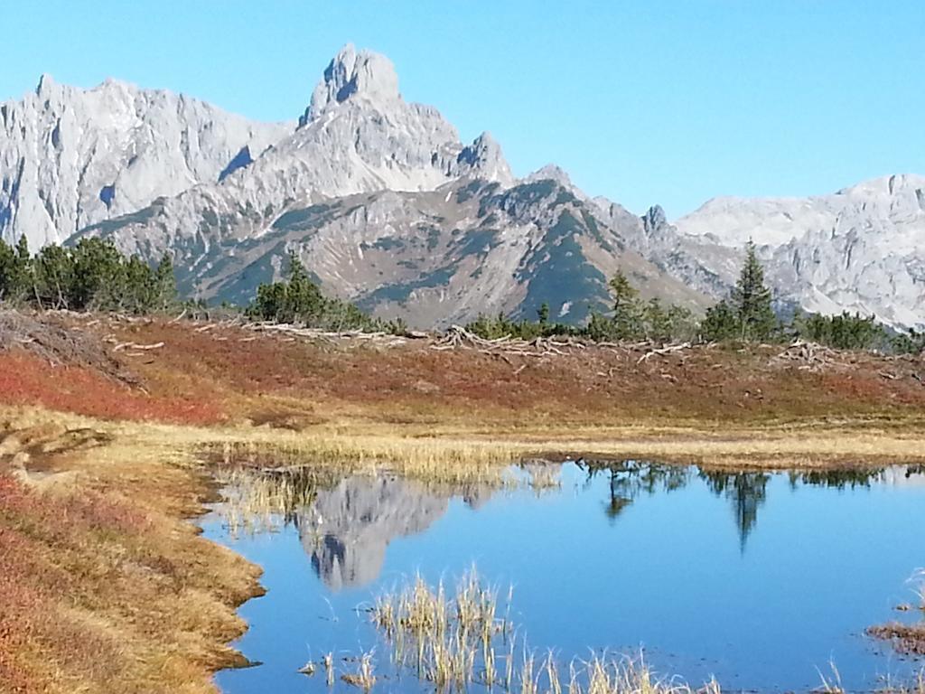 Ferienwohnung Bergblick Filzmoos Rom bilde