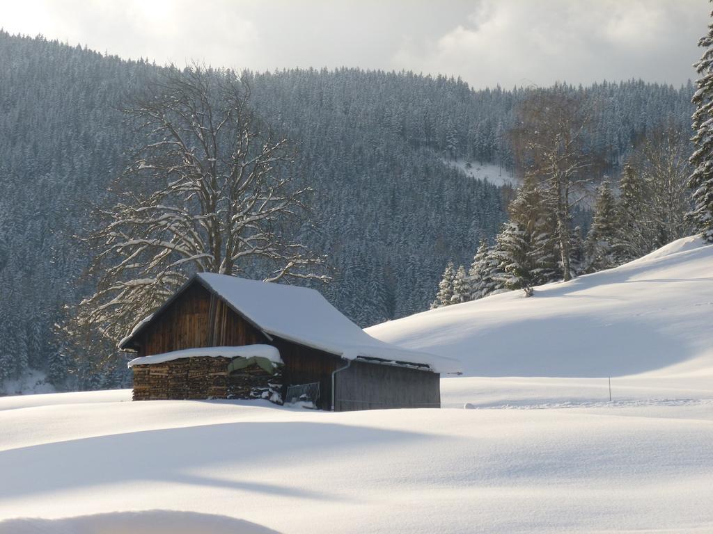 Ferienwohnung Bergblick Filzmoos Rom bilde
