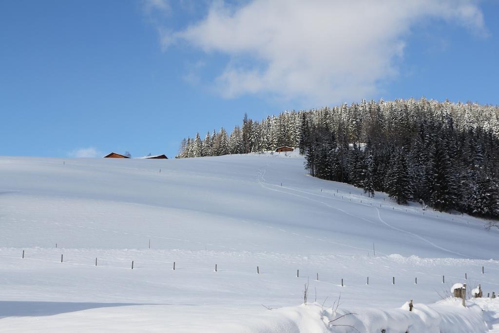 Ferienwohnung Bergblick Filzmoos Rom bilde
