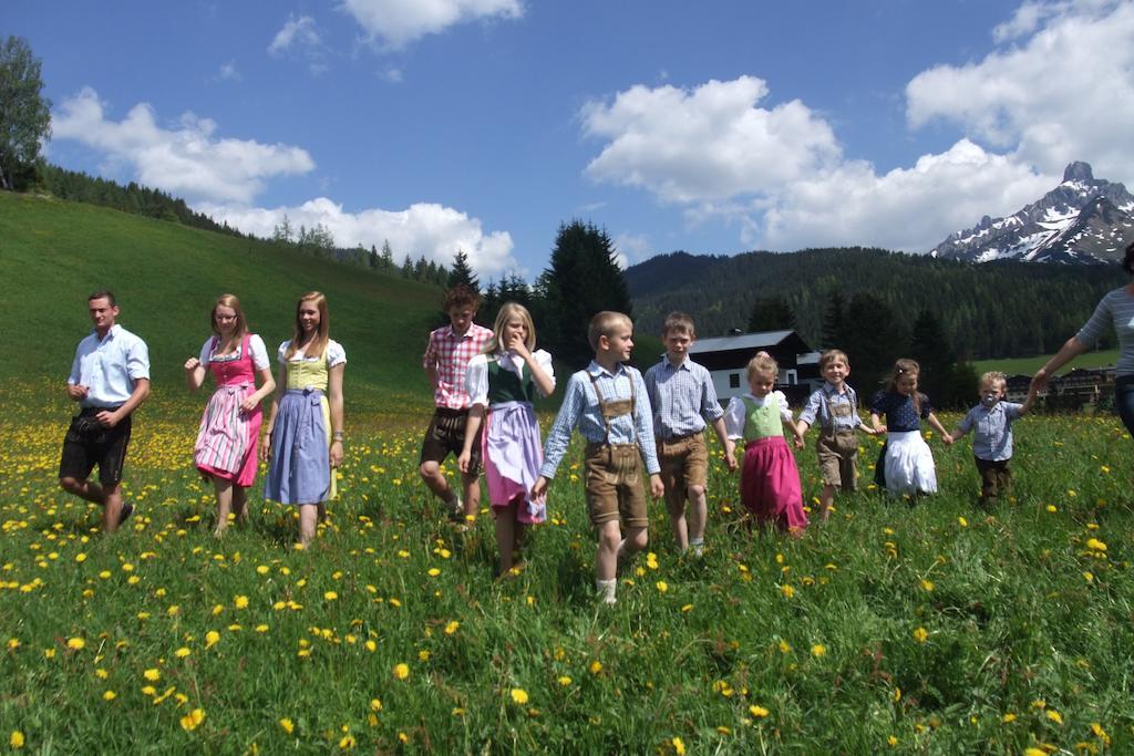 Ferienwohnung Bergblick Filzmoos Rom bilde